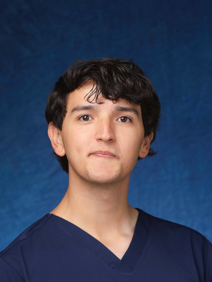 Pineda Mireles, Raul